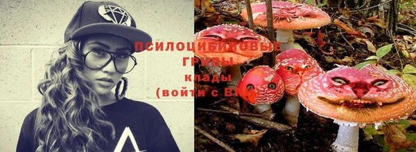 ешки Белокуриха