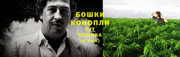 ешки Белокуриха